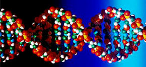 Sindrome di Down e gravidanza: i test di amniocentesi e di villocentesi. Diagnosi prenatale Sindrome di Down