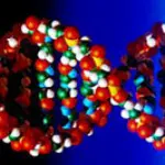 Sindrome di Down e gravidanza: i test di amniocentesi e di villocentesi. Diagnosi prenatale Sindrome di Down