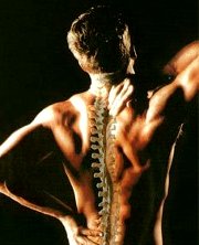 Mal di Schiena: gli esercizi di ginnastica posturale per il mal di schiena. Cervicale e lombalgia