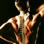 Mal di Schiena: gli esercizi di ginnastica posturale per il mal di schiena. Cervicale e lombalgia