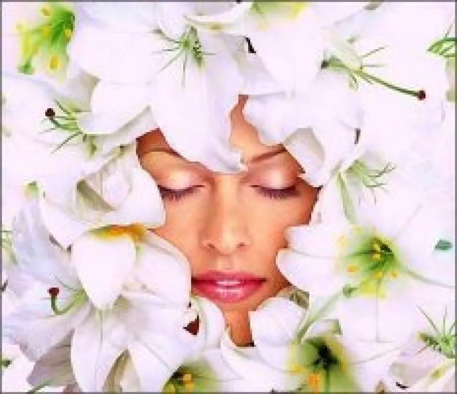 Fiera del benessere a Vicenza dal 12 al 15 Novembre 2009: fiera "BENè - Spa e wellness Expo"