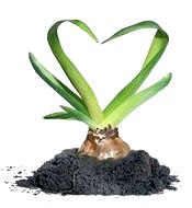 Biolife 2009 a Bolzano dal 20 al 22 Novembre 2009: agricoltura biologica e alimentazione sana