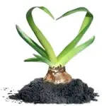 Biolife 2009 a Bolzano dal 20 al 22 Novembre 2009: agricoltura biologica e alimentazione sana