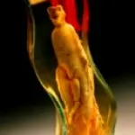 Gli integratori alimentari a base di Ginseng per stimolare metabolismo, memoria e concentrazione