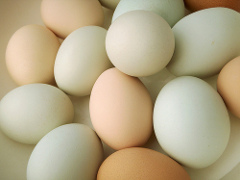 Intolleranza alimentare alle uova: le ricette delle salse senza uova per condire carne e pesce