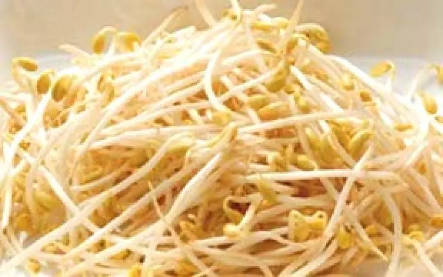Alimentazione sana: proprietà di germogli di soia, lievito di birra e semi di lino nella dieta