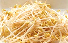 Alimentazione sana: proprietà di germogli di soia, lievito di birra e semi di lino nella dieta