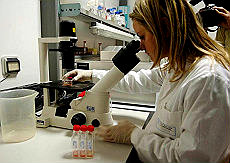 Nuove cure per le malattie dell' intestino tenue: polipi intestino e tumore. L' Enteroscopia dell' intestino