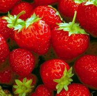 Ricette dietetiche dolci e dessert: fragole e yogurt per la ricetta di un dessert estivo facile e veloce