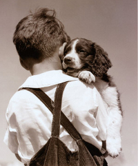 Contro l' obesità infantile adottate un cane: la ricerca sui bambini obesi e sul sovrappeso infantile