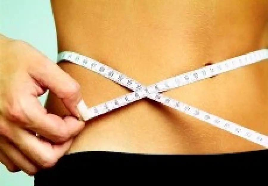 Calcolo Dieta a Zona: la dieta per dimagrire senza contare le calorie. Programma settimanale Dieta a Zona 