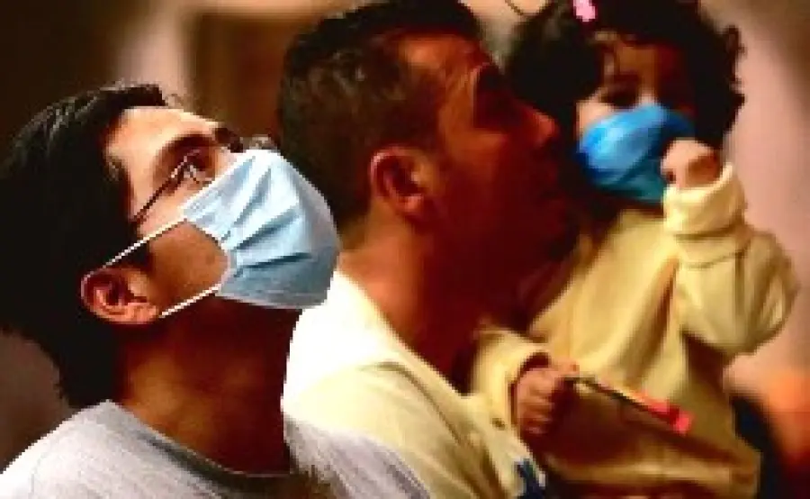 L' influenza dei suini: il virus della febbre suina nell' uomo. Sintomi dell' influenza dei suini, diagnosi e cura