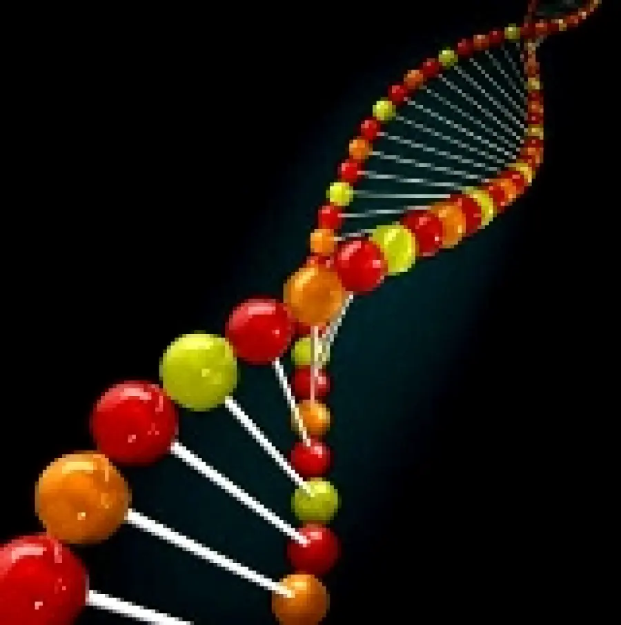 Ingegneria genetica e nuove possibilità di cura. Dall' insulina per la cura del diabete fino alla cura dei tumori