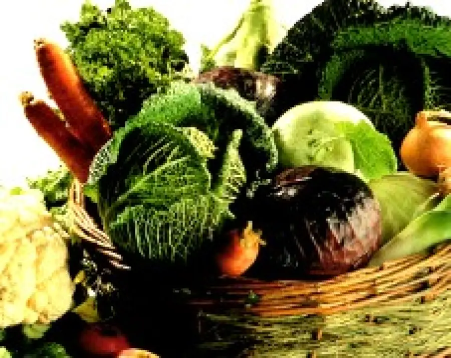 Dieta anticellulite depurativa: i cibi contro cellulite e ritenzione idrica