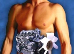 Le cause del metabolismo lento e le tisane per riattivare il metabolismo rallentato