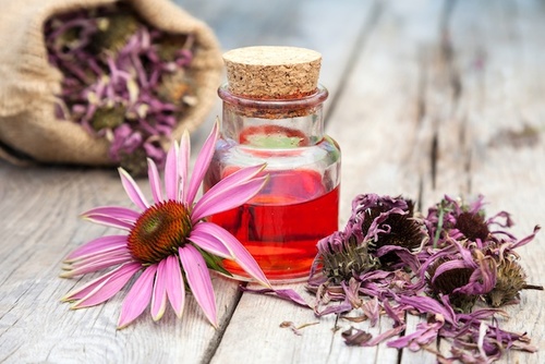 Echinacea: cura naturale per l' influenza