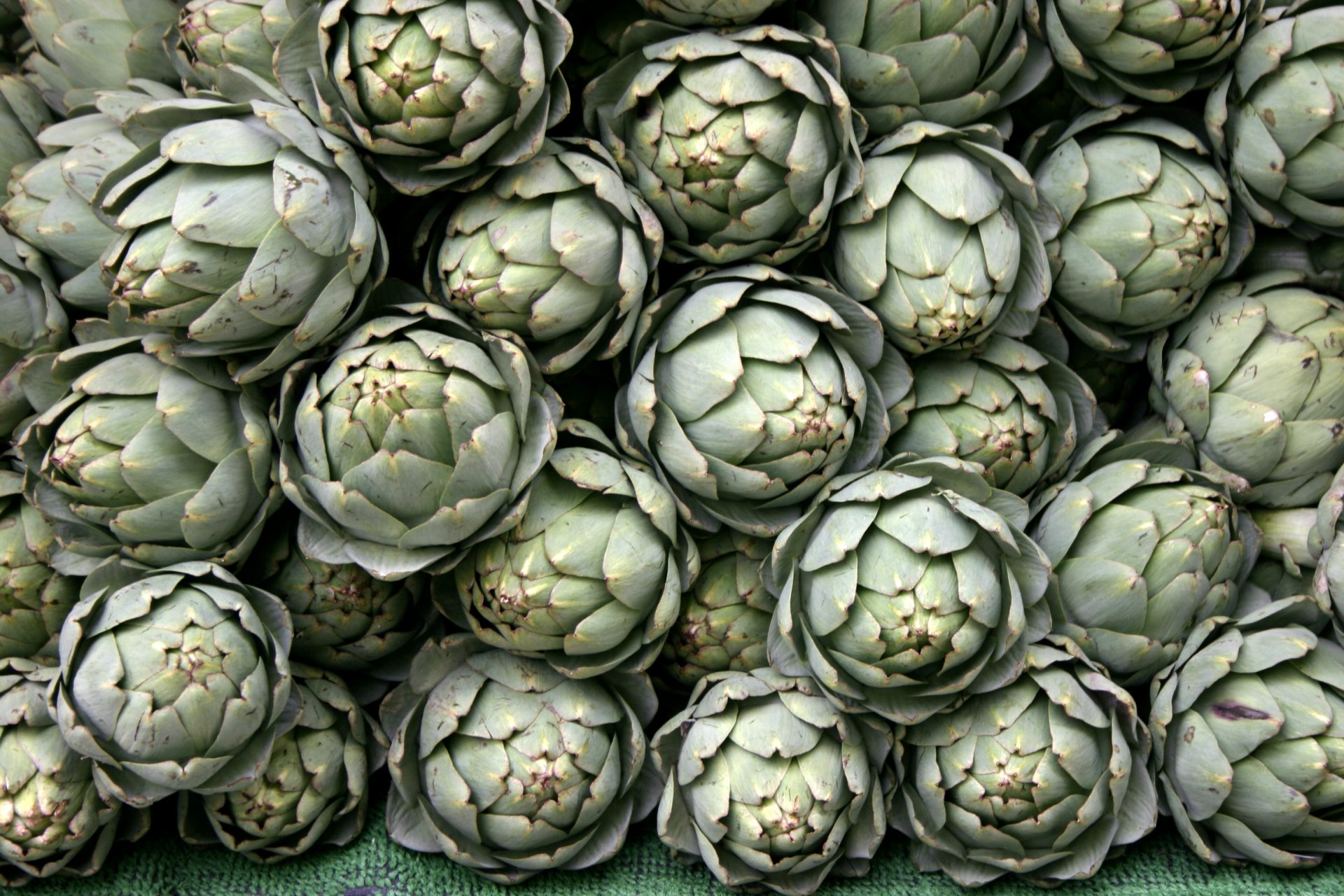 Proprietà del carciofo: benefici per fegato e colesterolo