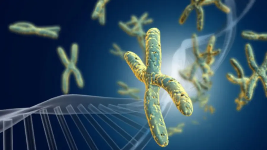 Gravidanza: malattie genetiche e diagnosi preimpianto