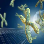 Gravidanza: malattie genetiche e diagnosi preimpianto