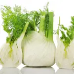 Finocchio: utilizzo, proprietà, benefici