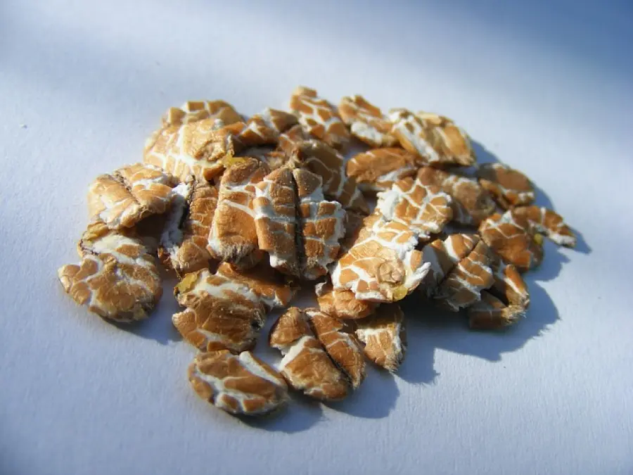 Omega 3 enerzona. Proprietà dell' integratore dimagrante