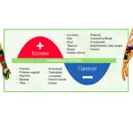 Obesità e sovrappeso: conseguenze sulla salute