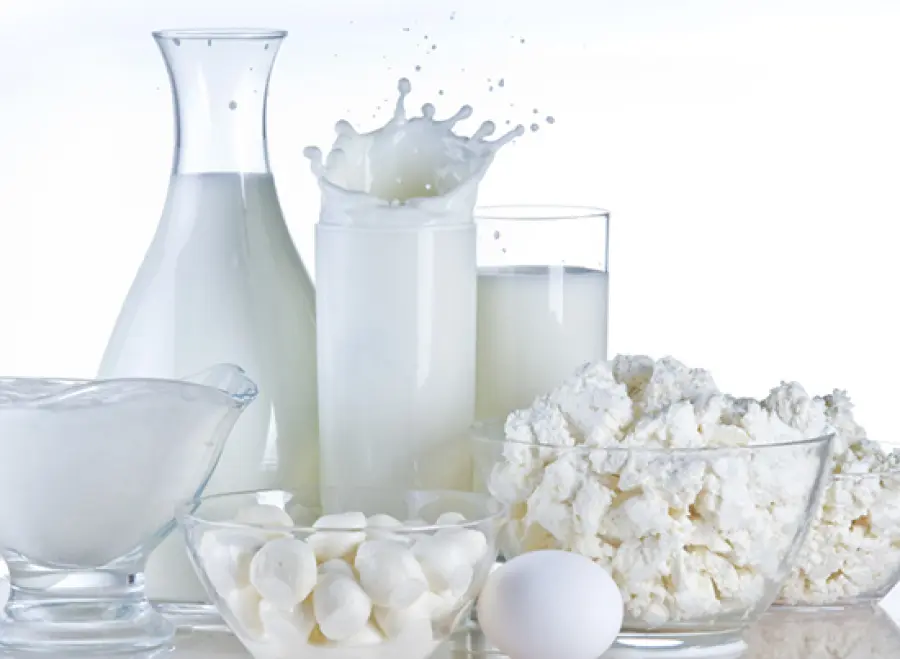 Latte e latticini nella dieta: quando mangiarli?