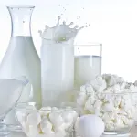 Latte e latticini nella dieta: quando mangiarli?