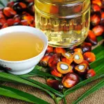 La verità sull' olio di palma: fa male alla salute?