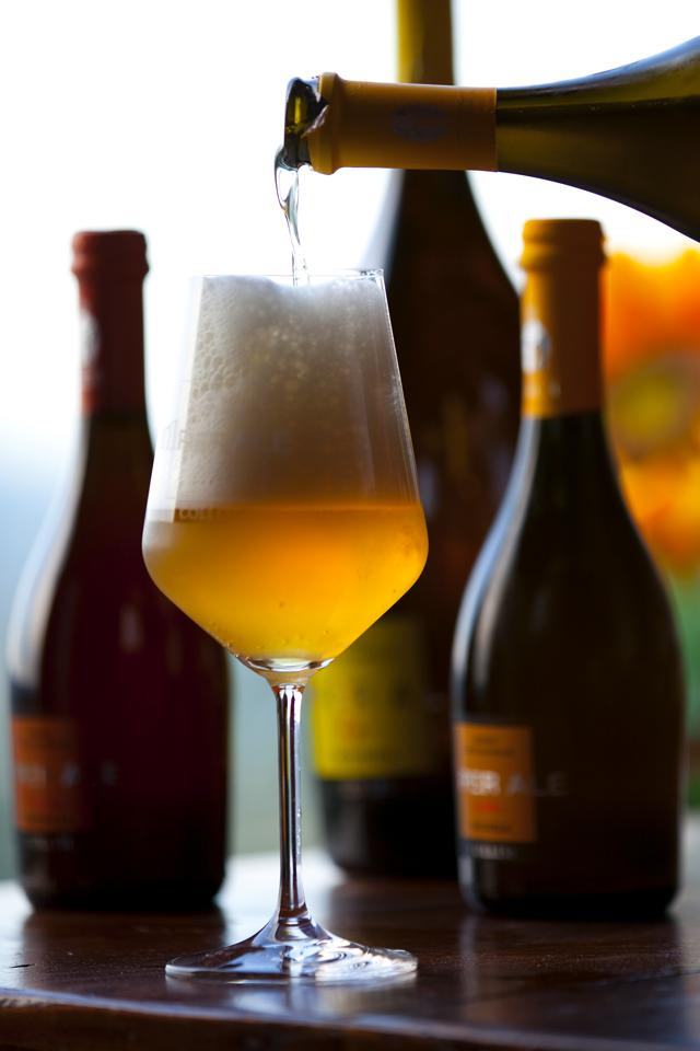 Benefici della birra: quanta al giorno?