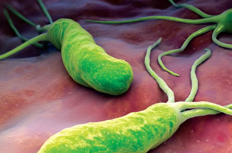 Helicobacter Pylori: sintomi, test, cura
