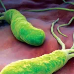Helicobacter Pylori: sintomi, test, cura