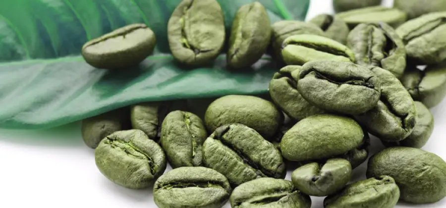 Caffè verde dimagrante: proprietà