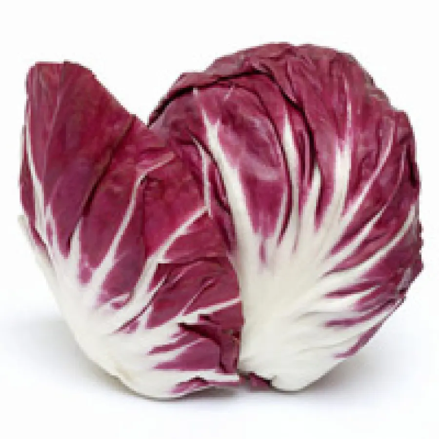 Proprietà radicchio: come cucinarlo