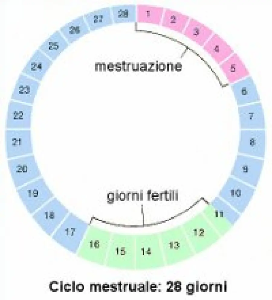 Mestruazioni abbondanti e lunghe: cosa fare?