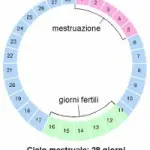 Mestruazioni abbondanti e lunghe: cosa fare?