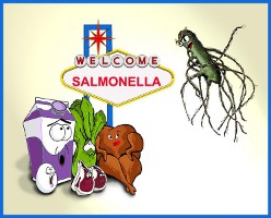Sintomi salmonella, contagio, terapia di cura