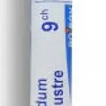 Puntura di medusa: cosa fare. Rimedio omeopatico + crema alla calendula