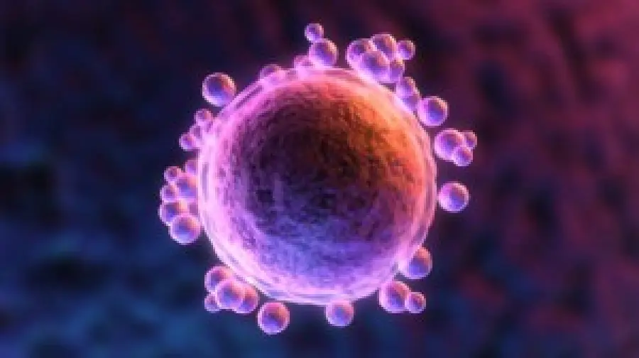 Criosconservazione degli ovociti a Lugano (Svizzera): gravidanza dopo i 40 anni