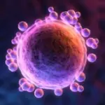 Criosconservazione degli ovociti a Lugano (Svizzera): gravidanza dopo i 40 anni