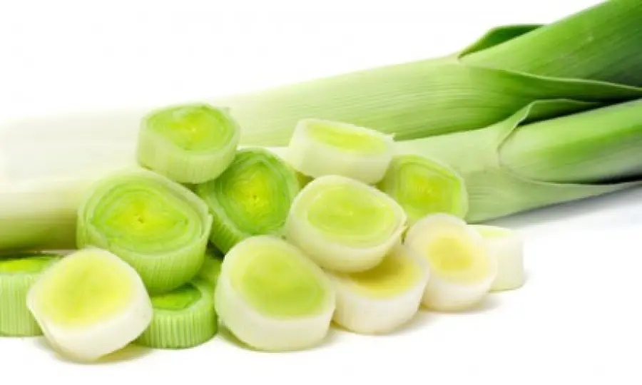 Proprietà benefiche del porro: diuretico, lassativo, depura l' intestino. Ricette dietetiche col porro