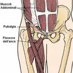 Cause pubalgia: sia sportivi, sia in gravidanza. Prevenzione, diagnosi, cure pubalgia cronica