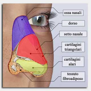 Naso rifatto: quando la punta del naso scende dopo la rinoplastica