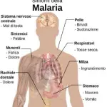 Zone di viaggio a rischio malaria: contagio-sintomi. Profilassi antimalarica: farmaci