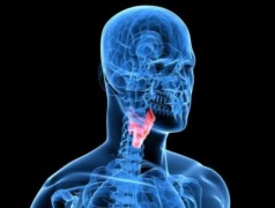 Malattie della tiroide: ipotiroidismo, ipertiroidismo e tumore della tiroide. Sintomi e cura