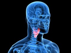 Malattie della tiroide: ipotiroidismo, ipertiroidismo e tumore della tiroide. Sintomi e cura