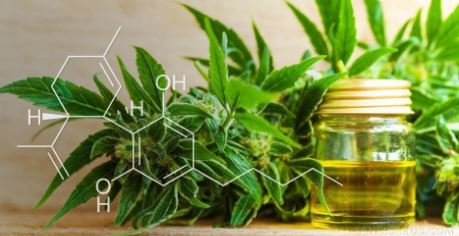 CBD cos'è e perchè fa bene? Perché non bisogna confonderlo con l'olio di canapa o con la marijuana?
