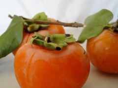 In autunno mangiare un cachi al giorno contro stitichezza, colite, difficoltà a digerire