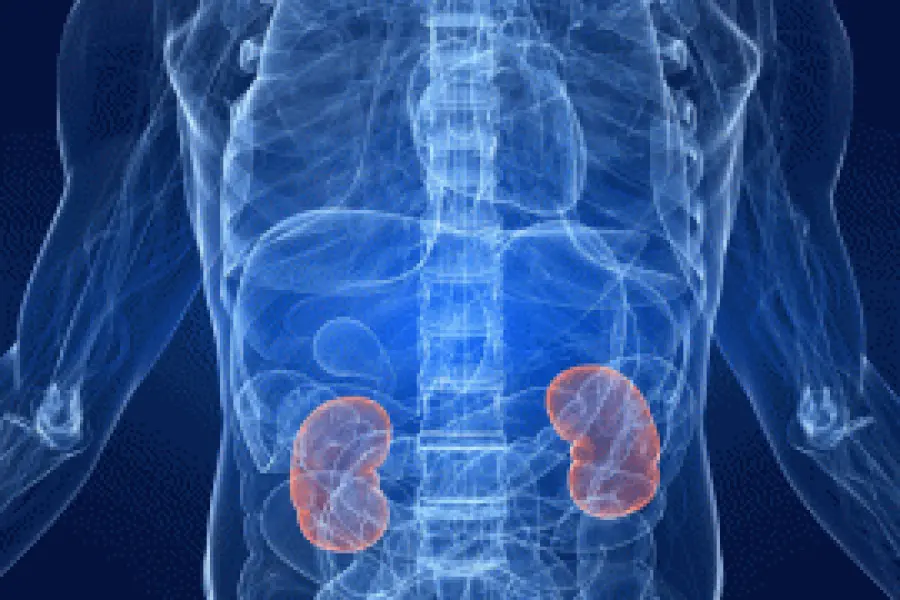 Sintomi insufficienza renale: diagnosi, cura e dieta per l' insufficienza renale