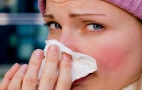 Fitoterapia: echinacea per aumentare le difese immunitarie contro l’ influenza stagionale